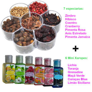 Especiarias para Gin Tônica + Xaropes para Coqueteis e Drinks – Caixa Flower