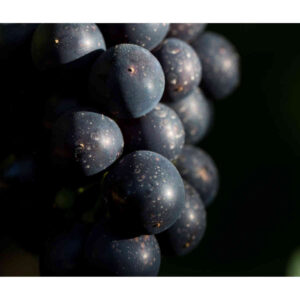 Vinho Ventisquero Chile 750ml